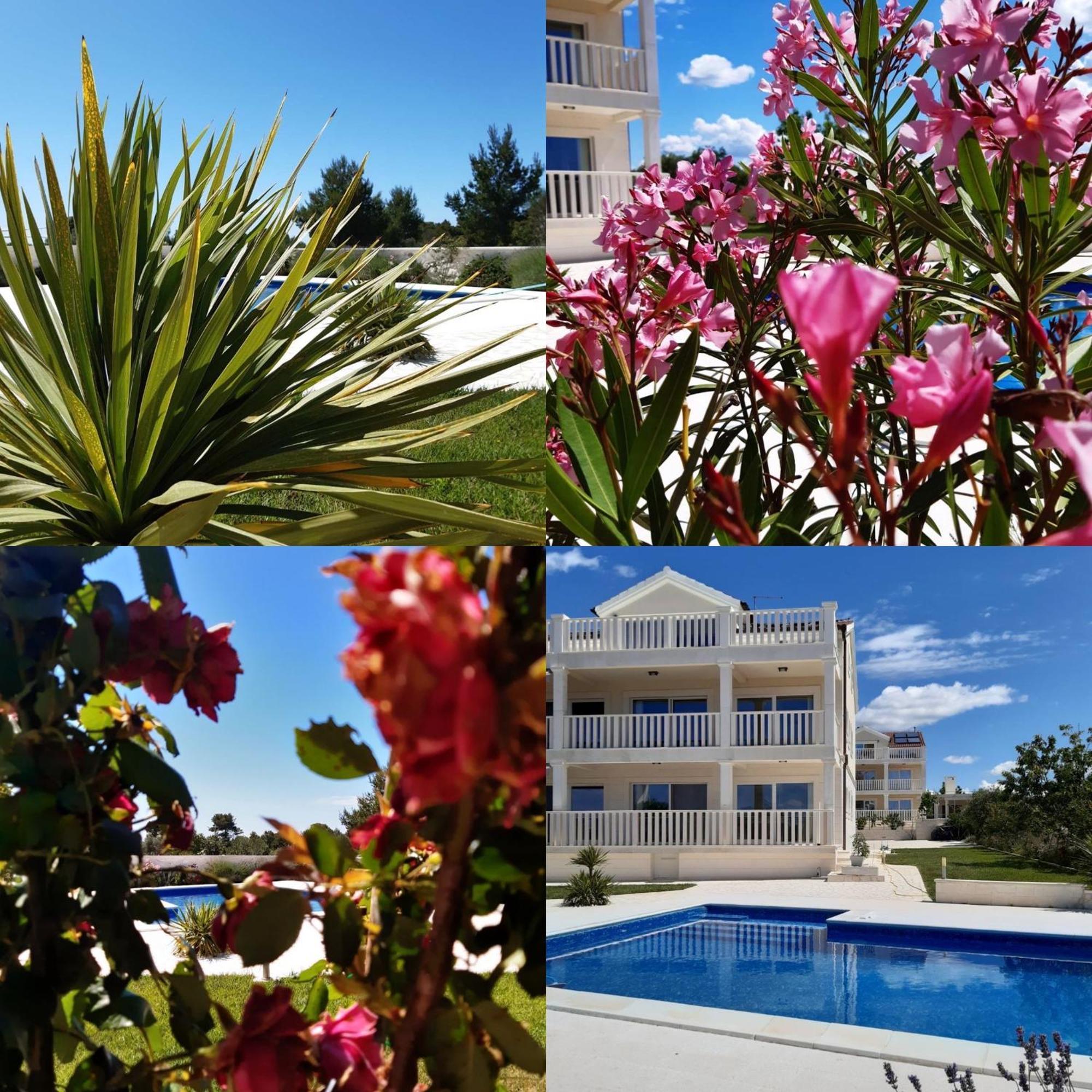 Villa Bachelor Vodice Exteriér fotografie